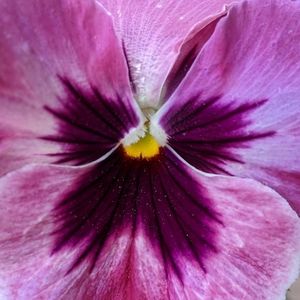 Meet your Posher, Zip